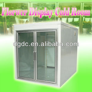 Expositor de puerta de cristal con flores, cámara fría, 2 puertas, enfriador para caminar - Product Image 3