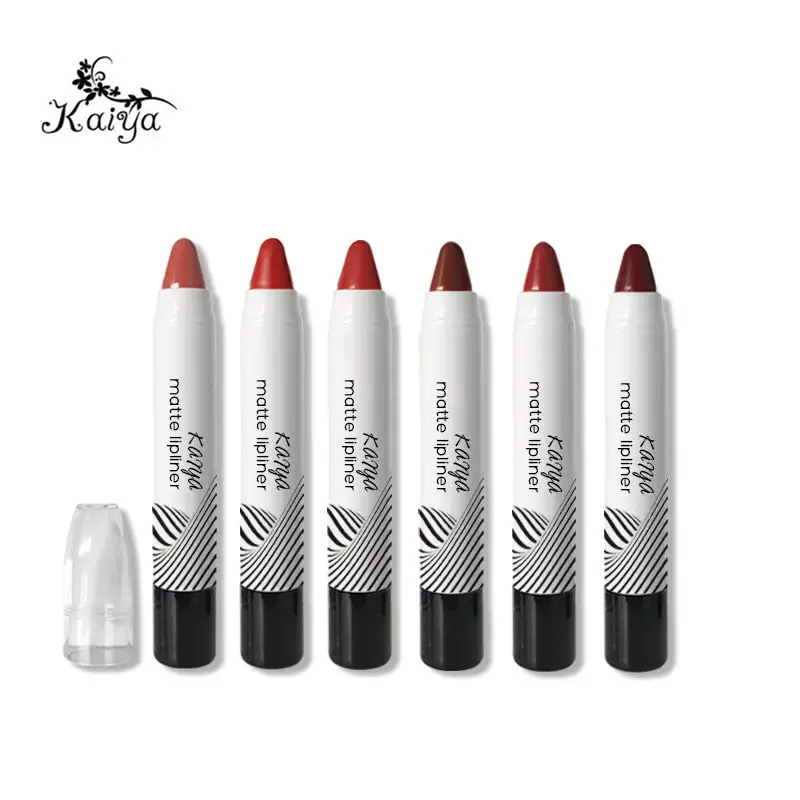Crayon à lèvres en velours mat imperméable, stylo cosmétique personnalisé OEM, étiquette privée