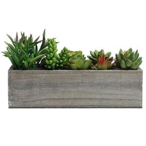 Artificiale Misto <span class=keywords><strong>Piante</strong></span> Succulente in Scatola Rettangolare Brown Fioriera in Legno - Product Image 5