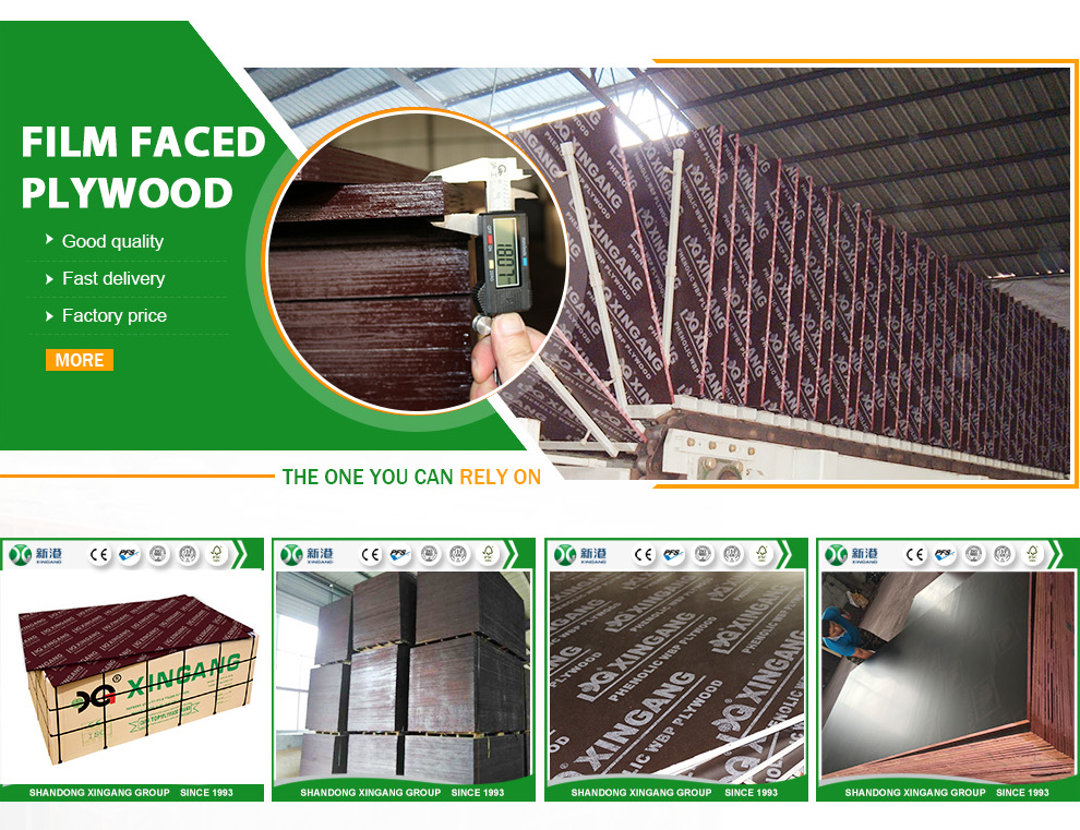 1220x2440mm 1250x2500mm  finger -Jointed  Film Face Plywood  shuttering plywood