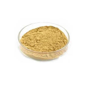 Ekstrak bubuk Rosemary, asam pengawet cerdas alami - Product Image 3
