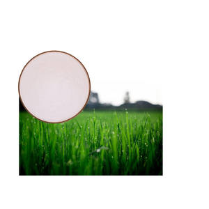 감마 polyglutamic 산성 분말 synergist homopolymer는 비료 사용 노출량 polyglutamic 산을 감소시킵니다 - Product Image 1