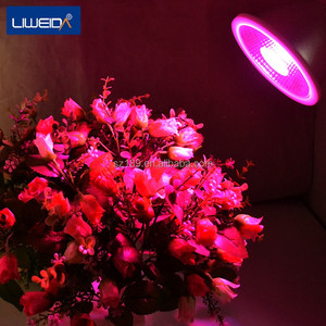 Cultivo de tejidos vegetales llevado crece la luz - Product Image 1