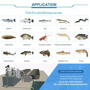 Système d'aquaculture en recirculation intérieure, aquaculture à petite échelle/ferme piscicole flottante/<span class=keywords><strong>prix</strong></span> du poisson truite au Pakistan - Product Image 4
