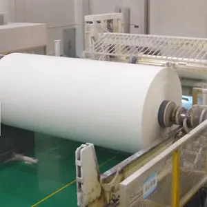 Papier double revêtement PE 230 gsm à 330gsm, pour emballage et impression