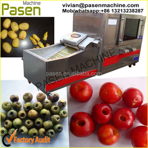 Fruta máquina picaduras / fruta Pit retirar la máquina / Pitter máquina para fechas, azufaifo, cereza, oliva picaduras - Product Image 2