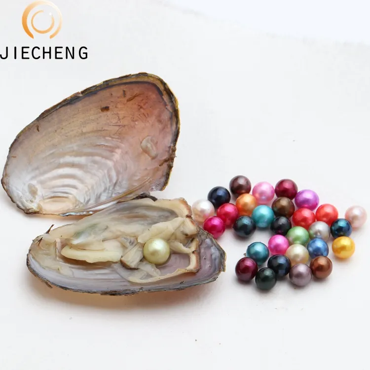 2018 Wholesale oyster with pearl 7-8mm freshwater bulk pearl oysters shell