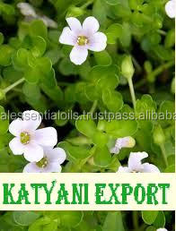 Aceite de Brahmi 100% puro, calidad superior, calidad superior, precio al por mayor, de fabricante indio líder - Product Image 3
