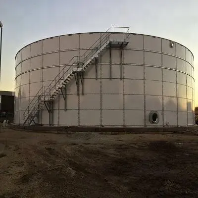 Biogas anaerobic digester tank