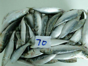 mariscos Sardinas Pescado Congelado - Product Image 1