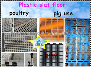 Goldenest buena calidad piso <span class=keywords><strong>de</strong></span> listones <span class=keywords><strong>de</strong></span> plástico para pollo aves cerdos engorde criadores pájaros - Product Image 3