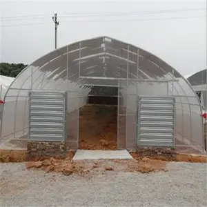 Poly Tunnel Gewächshaus Verwendung in Gartenbau und Landwirtschaft