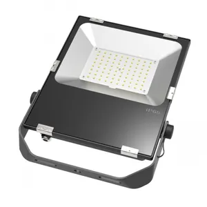 Professionele Ip65 Waterdichte Smd Ac 110V 220V 80W 100W Aluminium Led Overstromingsverlichting