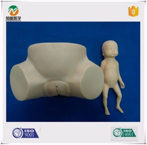 Recursos Didácticos BIX-F8 conocimientos de partería simulador ginecológico - Product Image 3