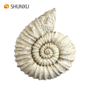 Náutico Shell pared decoración del hogar color beige resina Nautilus Shell pared colgando decoración del hogar - Product Image 1