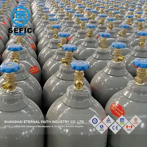 SEFIC Industrial 50L Argon Gas Cylinder Refillable Gas Cylinder Argon Gas Tank Argon Cylinder