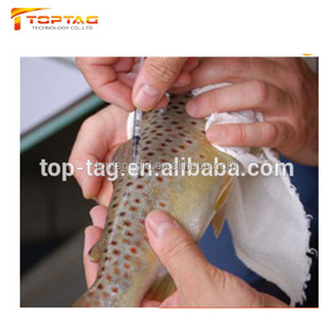 Động Vật Theo Dõi NFC Glass Tag Vật Nuôi <span class=keywords><strong>RFID</strong></span> Microchip Cho Chó Mèo ID Xác Định - Product Image 3