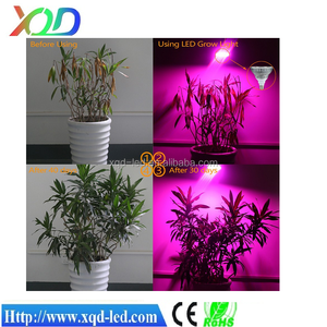 LED del espectro rey crece la luz cob 7 W / 9 W / 12 W e27 llevó la lámpara livarno lux llevó la lámpara de la igualdad - Product Image 1