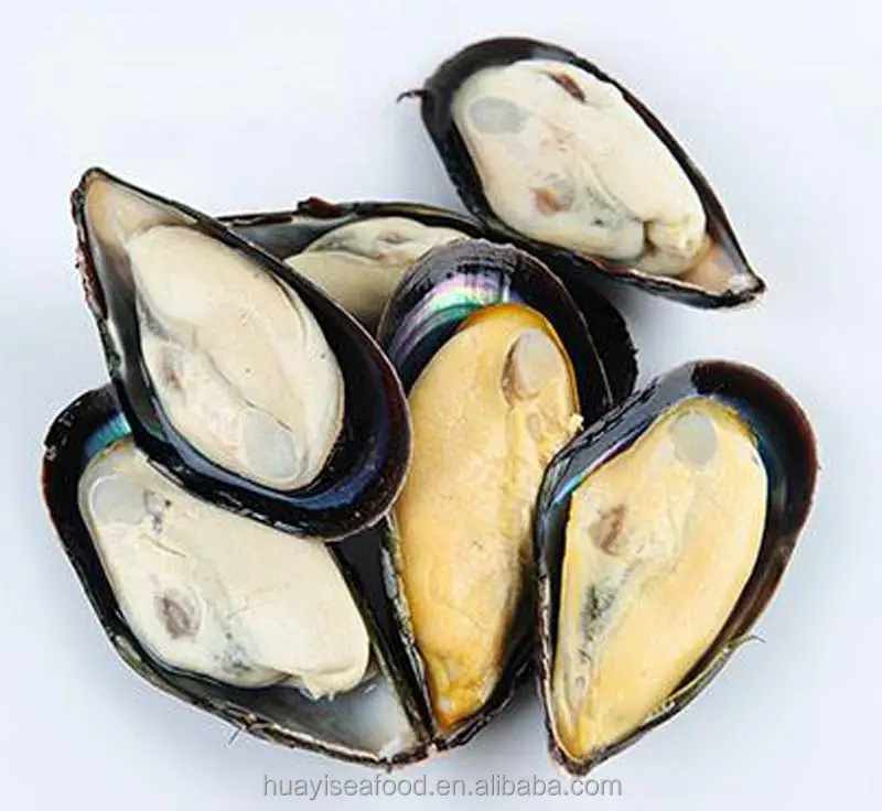 الصين تصنيع المأكولات البحرية المجمدة نصف قذيفة بلسان