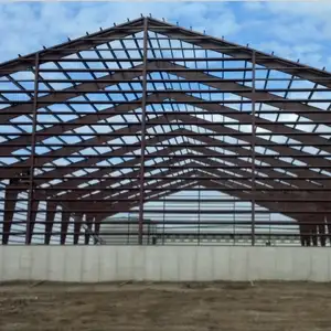 Investors Looking For Construction Projects Cost Steel Structure