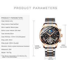 BIDEN 0189 Brand Mens Watches Stainless Steel Fully <strong>Automatic</strong> Mechanical Multifunction Tourbillon Man <strong>Wristwatches</strong> - Product Image 3