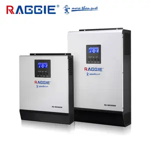 RAGGIE 5000 W 48 V Güneş Izgara Kravat/şebekeden bağımsız invertör Güneş Ev Sistemi Için Şebeke Şarj Cihazı