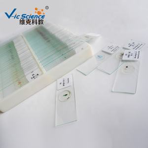 현미경 슬라이드 교육 및 교수용 의료 생물학 현미경 유리 슬라이드 세트 100종 - Product Image 2