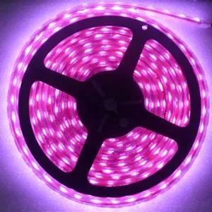 Milieuvriendelijke kleuren 6 Volt 6mm slanke smd 2835 100 m led strip voor decoratieve foto doos case