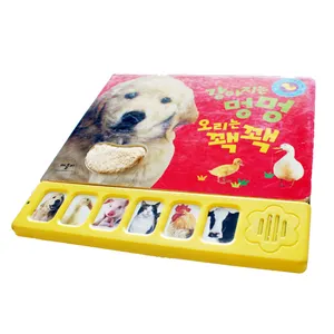 Recordable story book with sound panel for kids