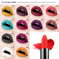 Nouveau Modèle Rouge à Lèvres Soie Mate Longue Tenue Imperméable 29 Couleurs Maquillage Nude Hydratant Sexy