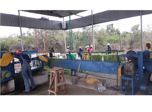 Factory Supply Philippine Banana Fiber Extracting Machine with Manila <strong>Hemp</strong> Fiber <strong>Decorticator</strong> - Product Image 5