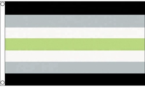 3x5 pies Agender Pride Flag Banner Display Accesorios para Agender People - Product Image 2