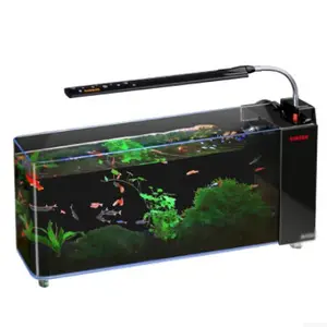 Aquarium en cristal de petite taille, nouvel arrivage de poisson avec lumière LED, nouvel arrivage