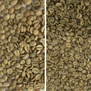 Máquina Seleccionadora Óptica por Color de Grano de Café Verde - Product Image 6