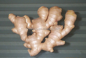 Crystal <strong>Ginger</strong>,<strong>fresh</strong> <strong>Ginger</strong>,dry <strong>Ginger</strong> Supplier - Product Image 2
