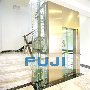 Elevator Company FUJI Comfortable Villa Lift House Elevator With Good Price