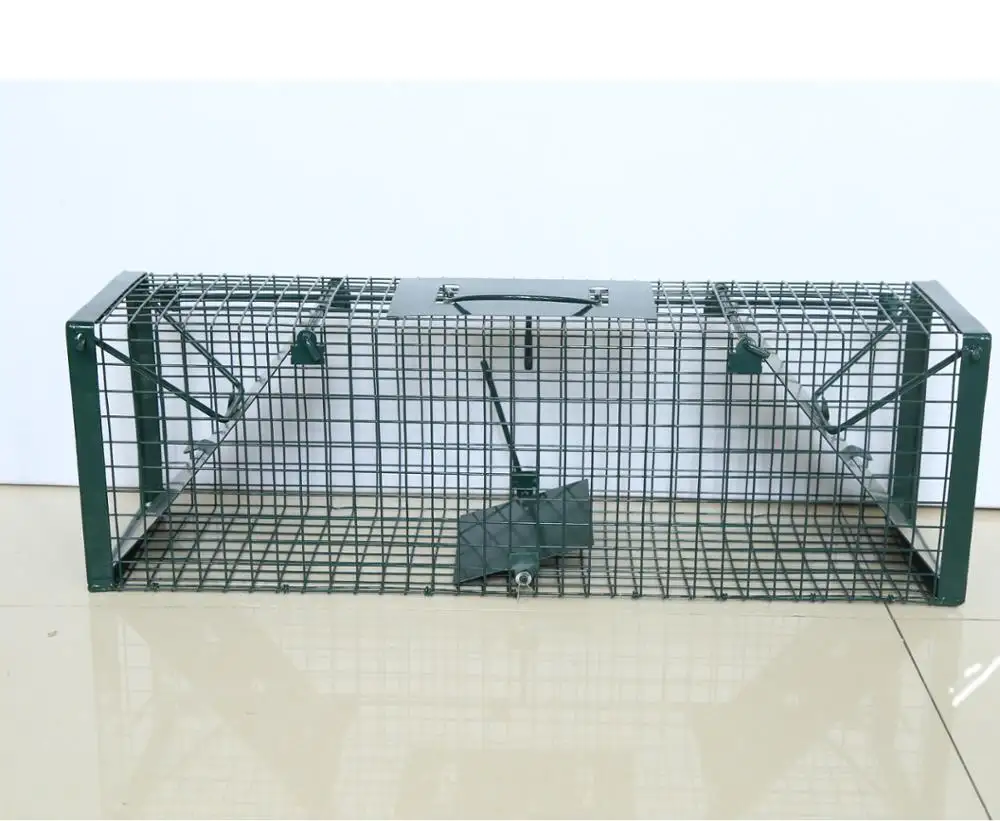 Sıcak satış kaynaklı tel tuzak kafesi katlanabilir canlı hayvan tuzağı tuzak kafesi