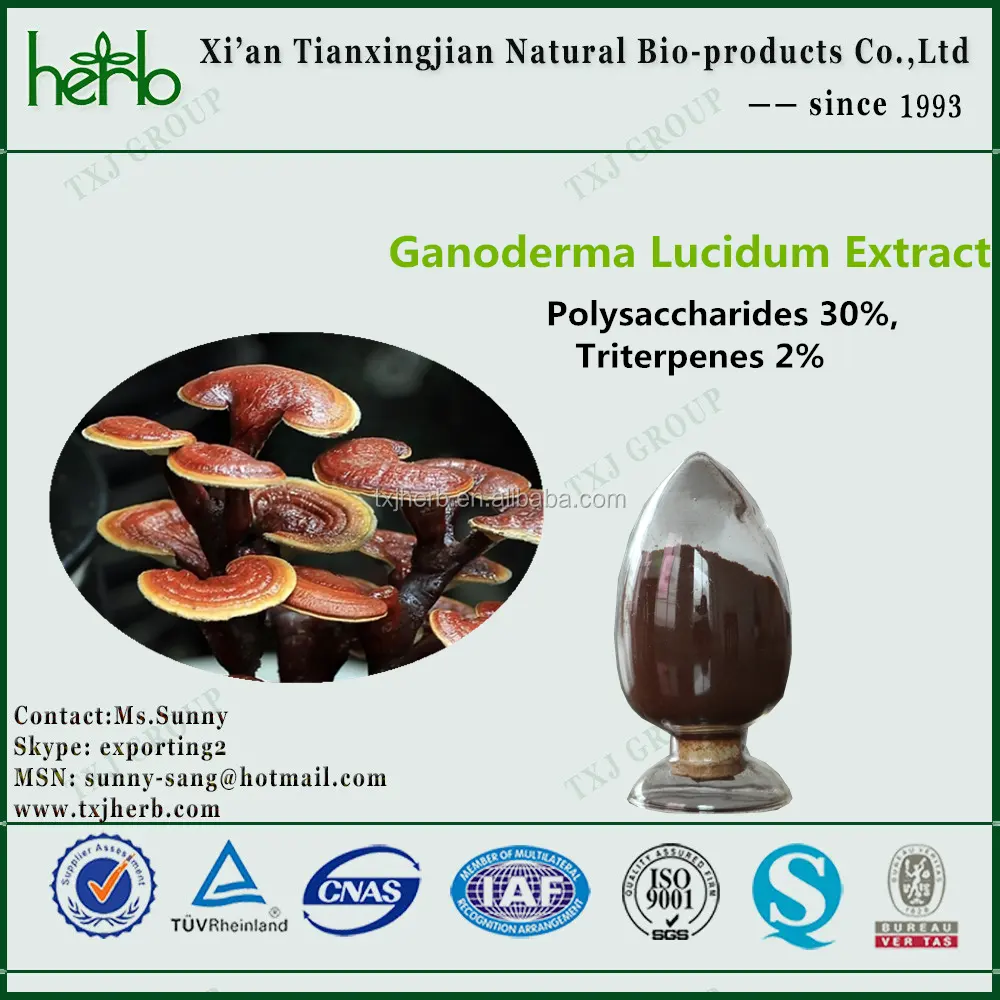 Supplément de santé poudre lucidum ganoderma