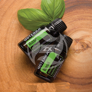 Puro aceite de <span class=keywords><strong>ciprés</strong></span> - Product Image 1