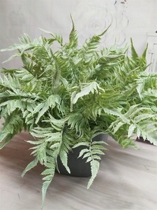Decorazione del ministero degli interni del fiore della pianta delle foglie dell'erba verde di plastica artificiale della felce adorabile dolce di vendita calda - Product Image 6