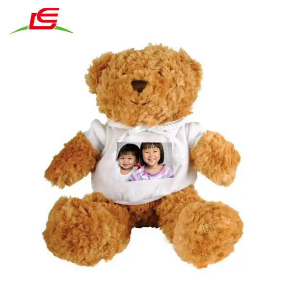 LE-D670 Beruang Teddy, Foto Beruang Teddy, Hadiah Foto Beruang Teddy