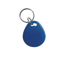 Wholesale Contactless Waterproof Keyfob 125Khz Custom Proximity Smart Access Control Keychain/ Key Tag