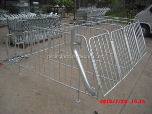 Phổ Biến <span class=keywords><strong>Pig</strong></span> Steel Thiết Bị Gestation Quầy Hàng Thiết Kế Trang Trại Dự Án - Product Image 6