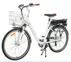 Venta al por mayor precio de fábrica verde Pedelec de la ciudad de bicicleta eléctrica