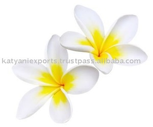 Aceite esencial de Frangipani orgánico puro, experiencia de aromaterapia, venta al por mayor, fabricación confiable a granel y proveedor de exportador indio - Product Image 4