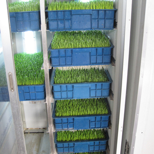 Công nghiệp 500 kg/ngày gia cầm thủy canh thức ăn gia súc hệ thống đậu xanh nảy mầm máy - Product Image 6