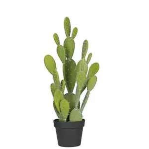 Large Cactus Plant Bonsai Cactus And Succulent Nursery Artificial Greenery