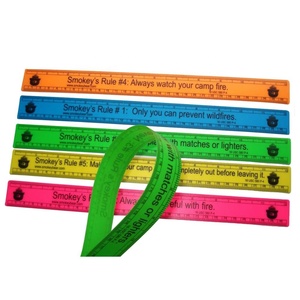 30 cm plastic soft ruler