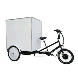 Tricycle électrique de transport de marchandises à trois roues pour la ville, fabriqué en Chine, grand volume de chargement - Product Image 3