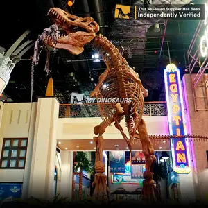 Mydino s017 china fabricante tamanho de vida dinossauro real esqueleto